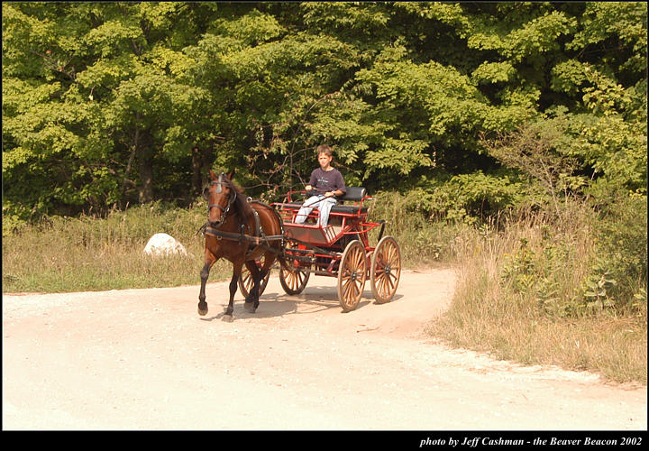 2l_horse_and_buggy_20