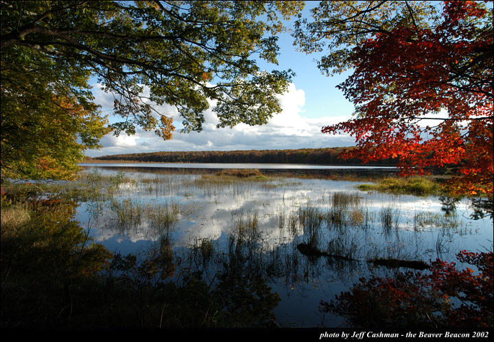 2beaver-island-fall-colors-jeff-cashman-12