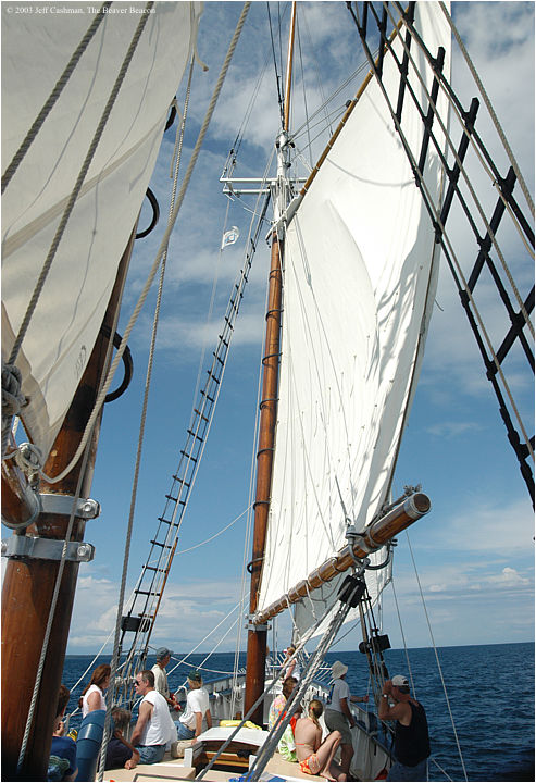 2Madeline-Beaver-Beacon-Main-Sail