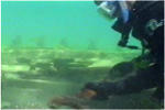 Diving on Beaver Island Shipwrecks