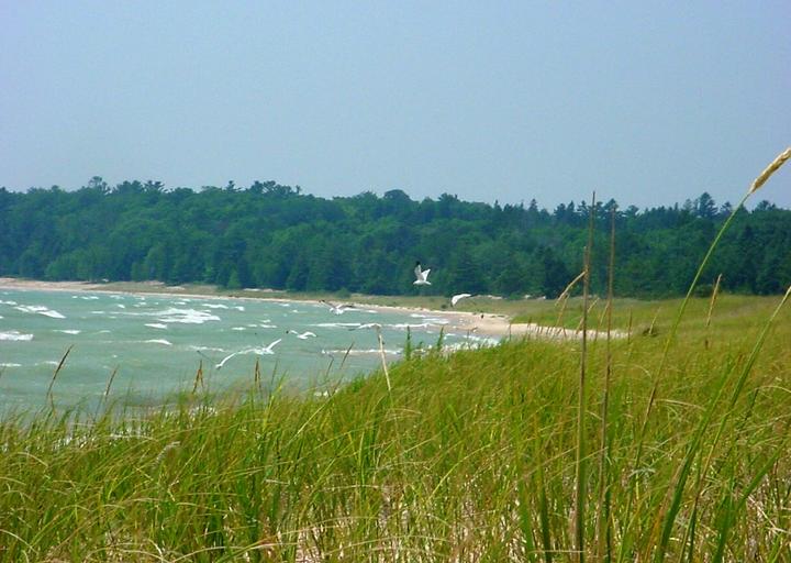 Cable Creek beach