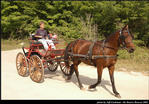 2l_horse_and_buggy_18.jpg