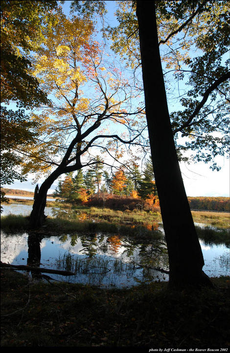 Fall Colors at Greene's Lake