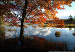 2beaver-island-fall-colors-jeff-cashman-9.jpg